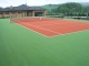 tenisový trávník